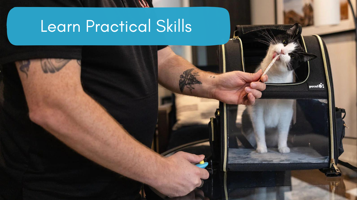 Learn Practical Skills (9)
