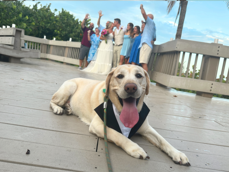 Untitled (2560 x 1920 px) (2)