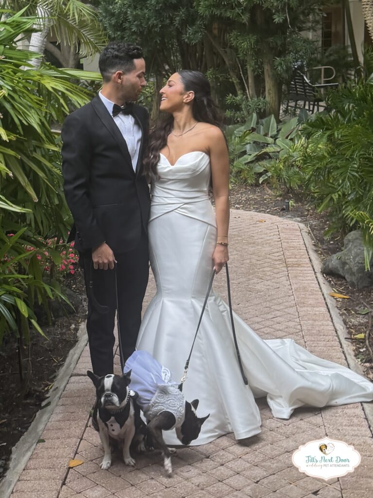 eZy Watermark_11-01-2026_06-59-52-0220PM