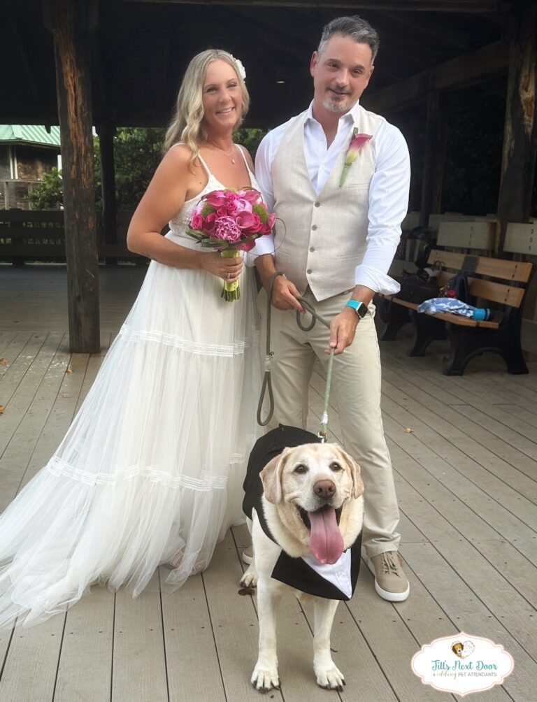 eZy Watermark_11-01-2026_12-54-36-2980PM