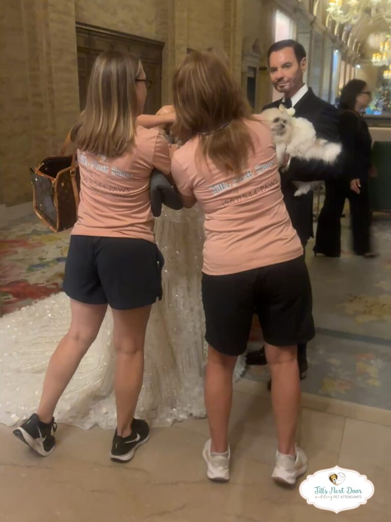 eZy Watermark_11-01-2026_12-54-36-7870PM