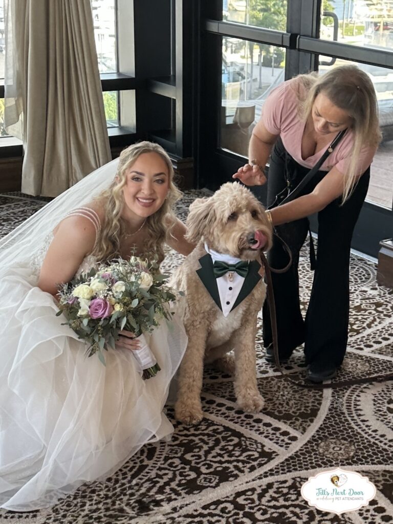 eZy Watermark_11-01-2026_12-54-37-0560PM