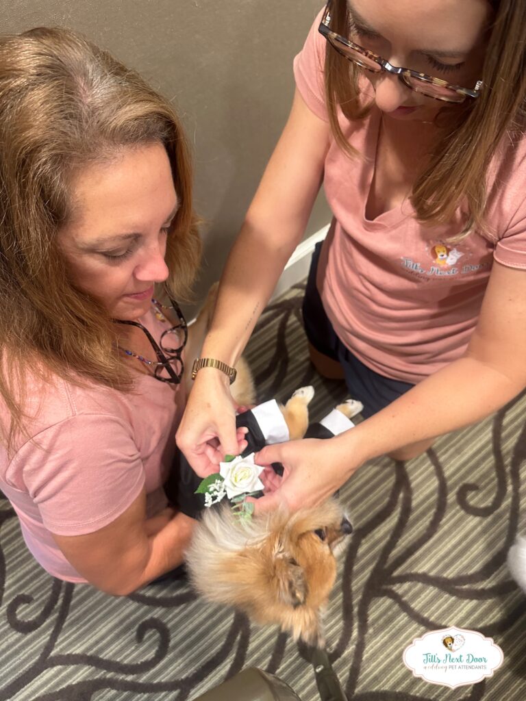 eZy Watermark_11-01-2026_12-54-37-2310PM