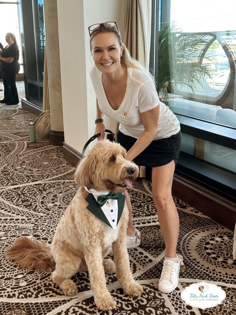 eZy Watermark_11-01-2026_12-54-37-4530PM