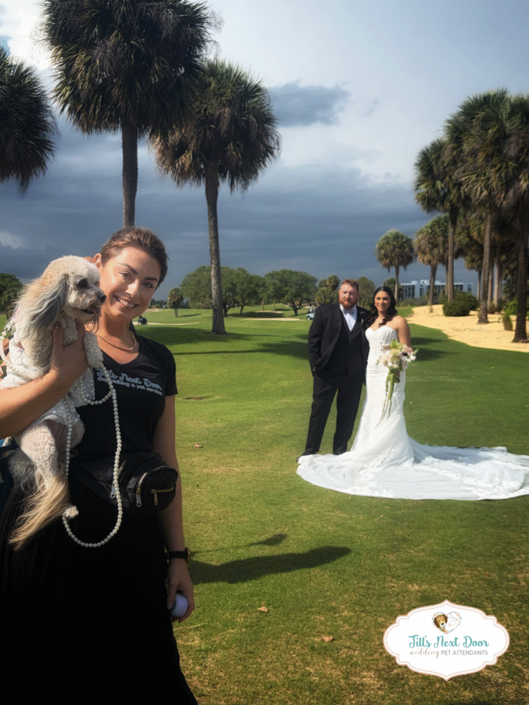 eZy Watermark_15-03-2026_09-05-42-7720AM