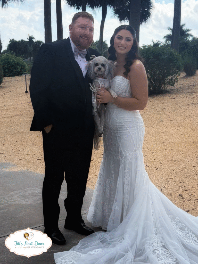 eZy Watermark_15-03-2026_09-06-52-7530AM