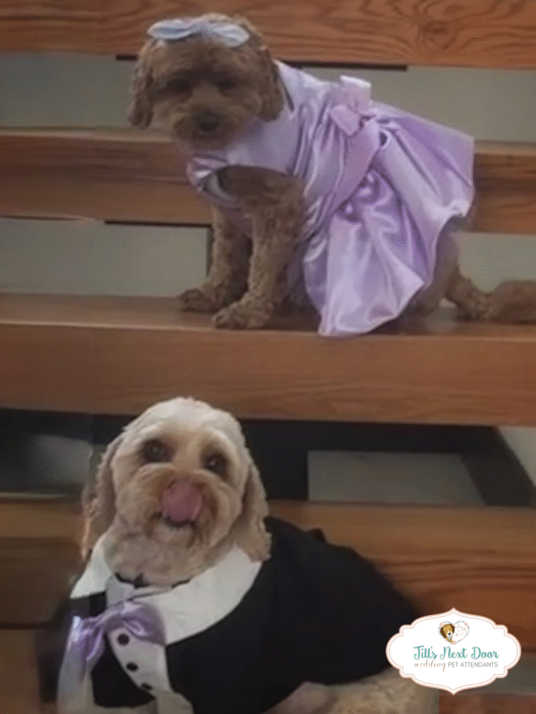 eZy Watermark_15-03-2026_09-10-28-2710AM