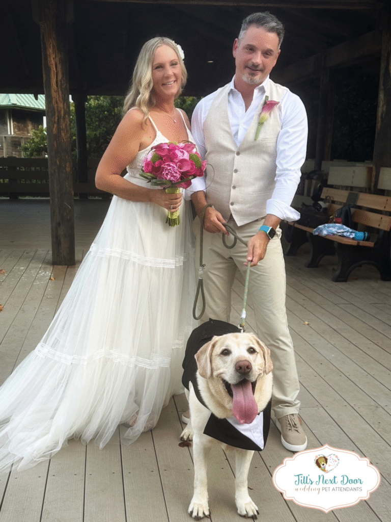 eZy Watermark_15-03-2026_09-16-51-7790AM