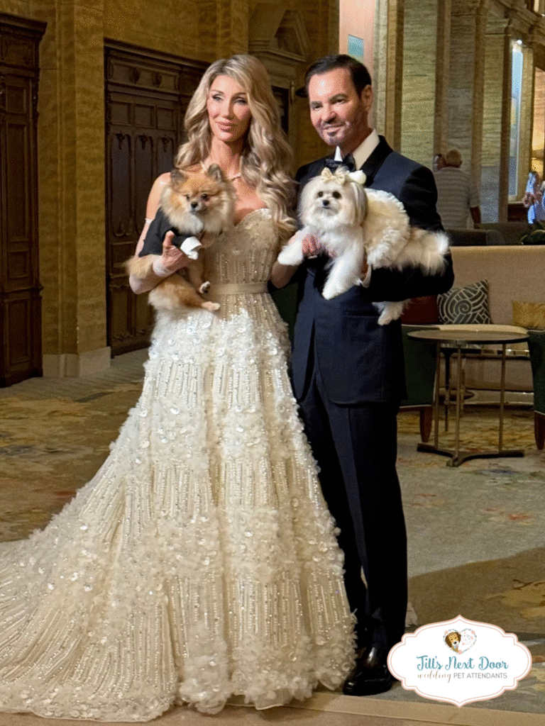 eZy Watermark_15-03-2026_09-17-09-5340AM