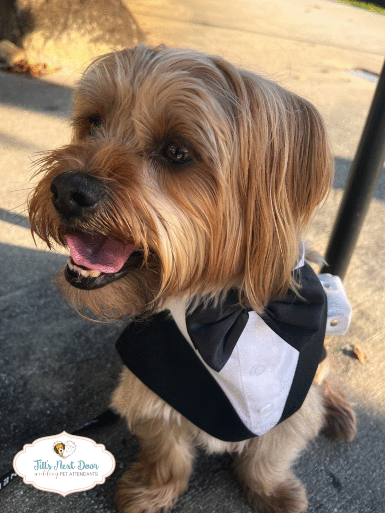 eZy Watermark_21-03-2026_07-53-07-1810PM