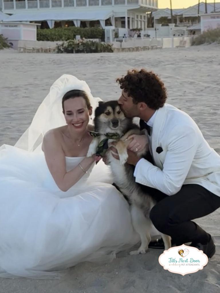 eZy Watermark_12-04-2026_07-45-15-1540AM